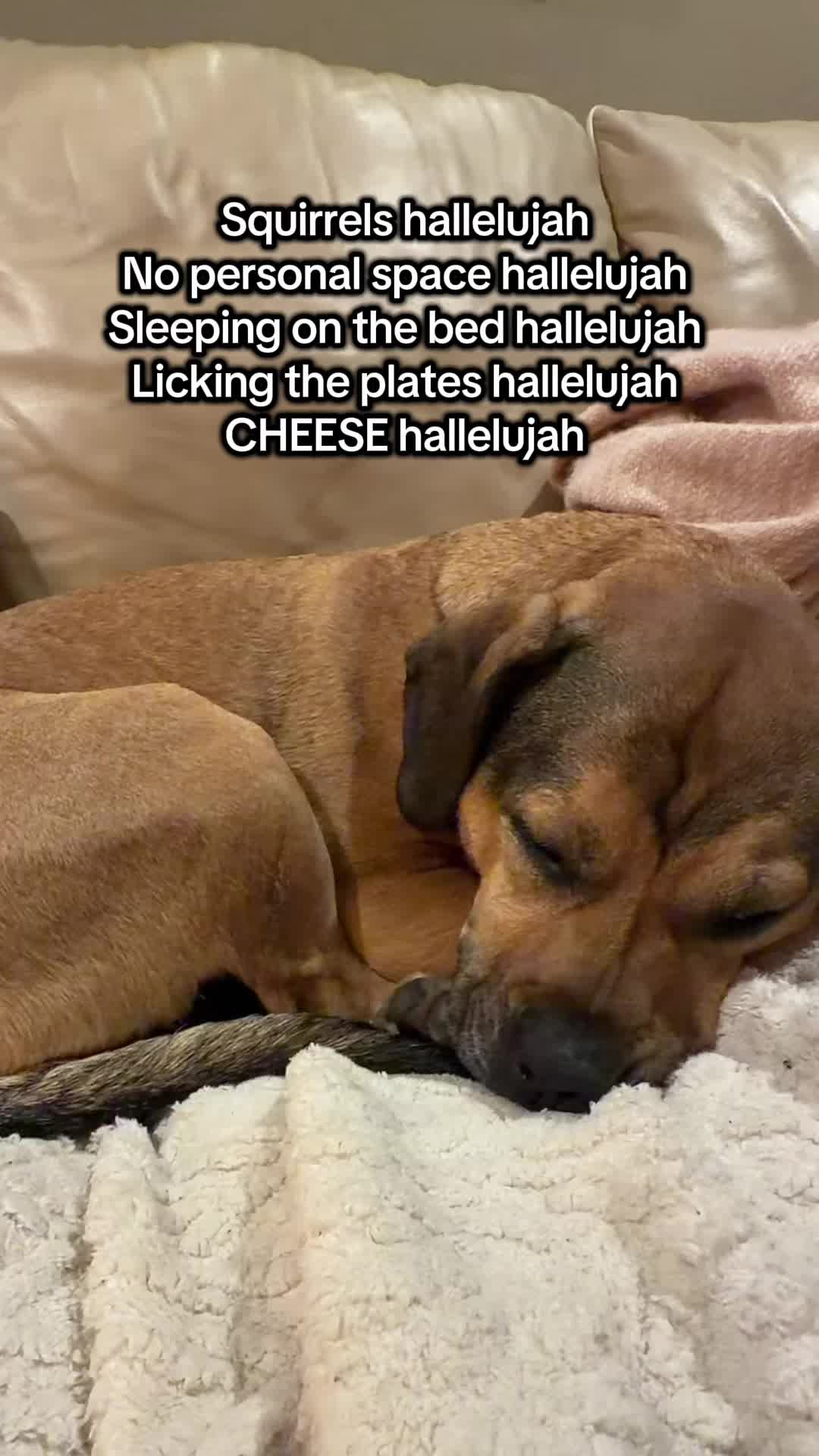 @HeyyyRizzo