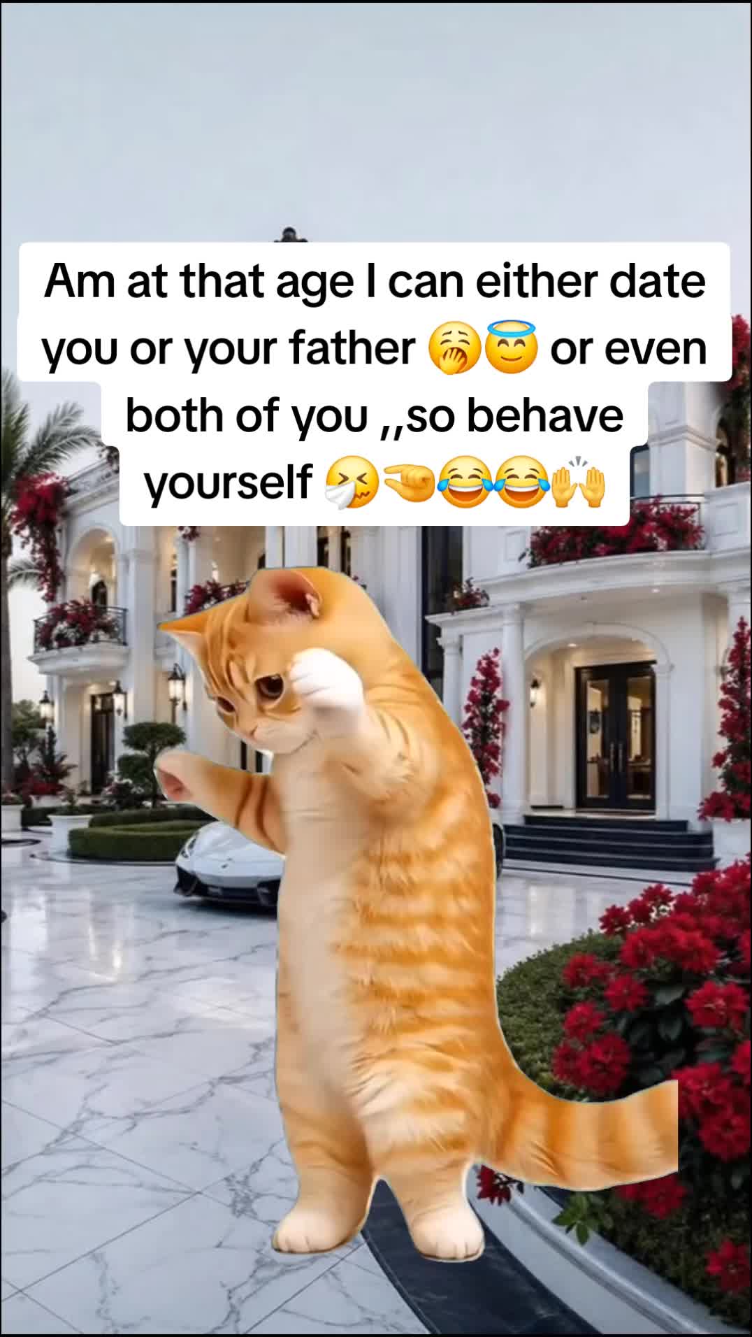 @Miss Vibez ๐ค๐๐