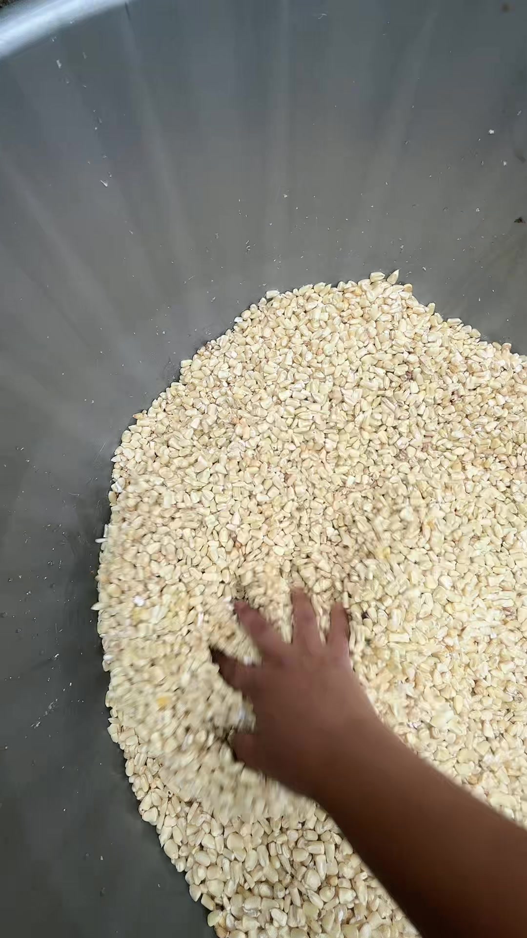 @🇲🇽 ᙖ&epsilon;тყᴿᥫ᭡