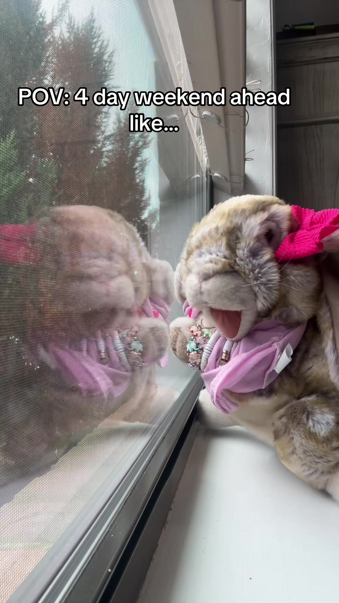@rabbitdaisymae