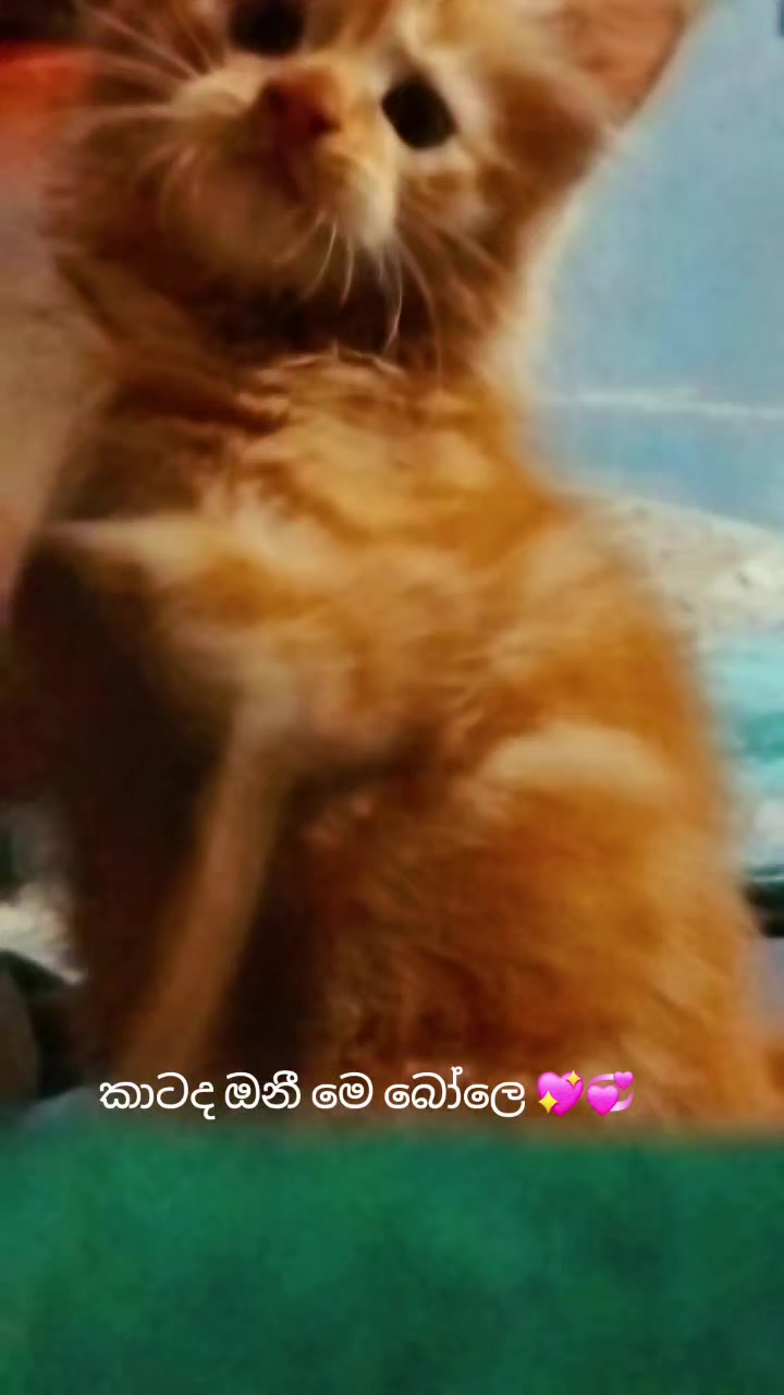 @sandu ๐๐๐๐๐๐๐๐