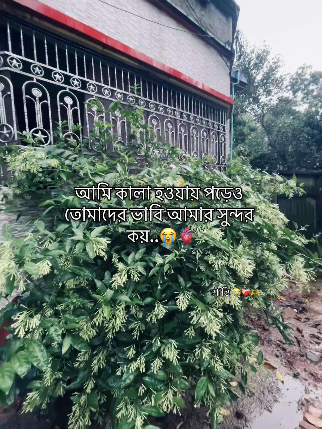@asdfghjkl123303