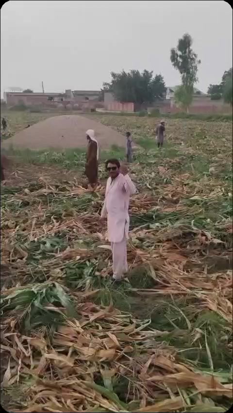 @Ch Nasir