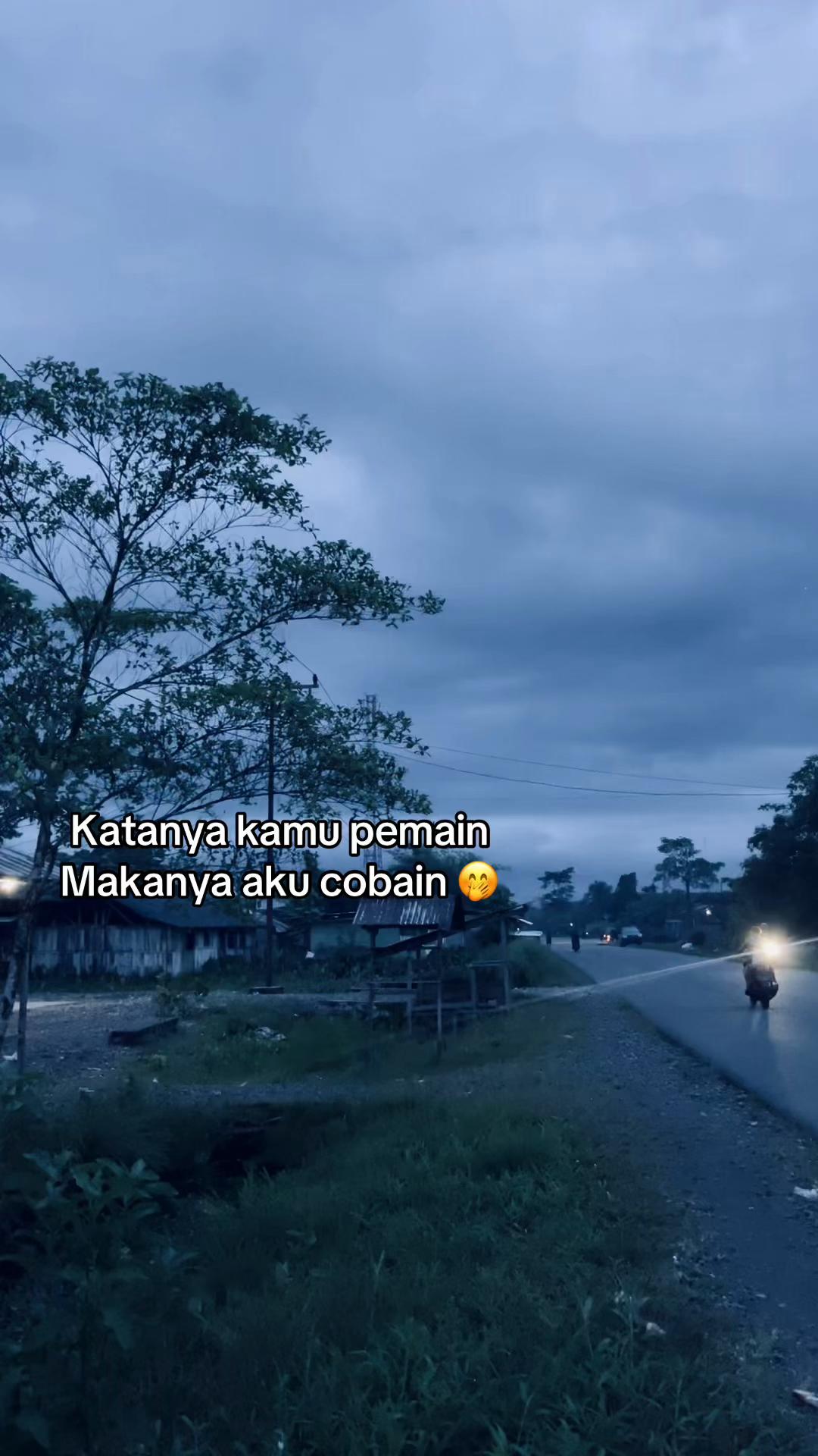 @faldy