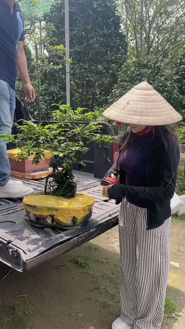 @Khổng La