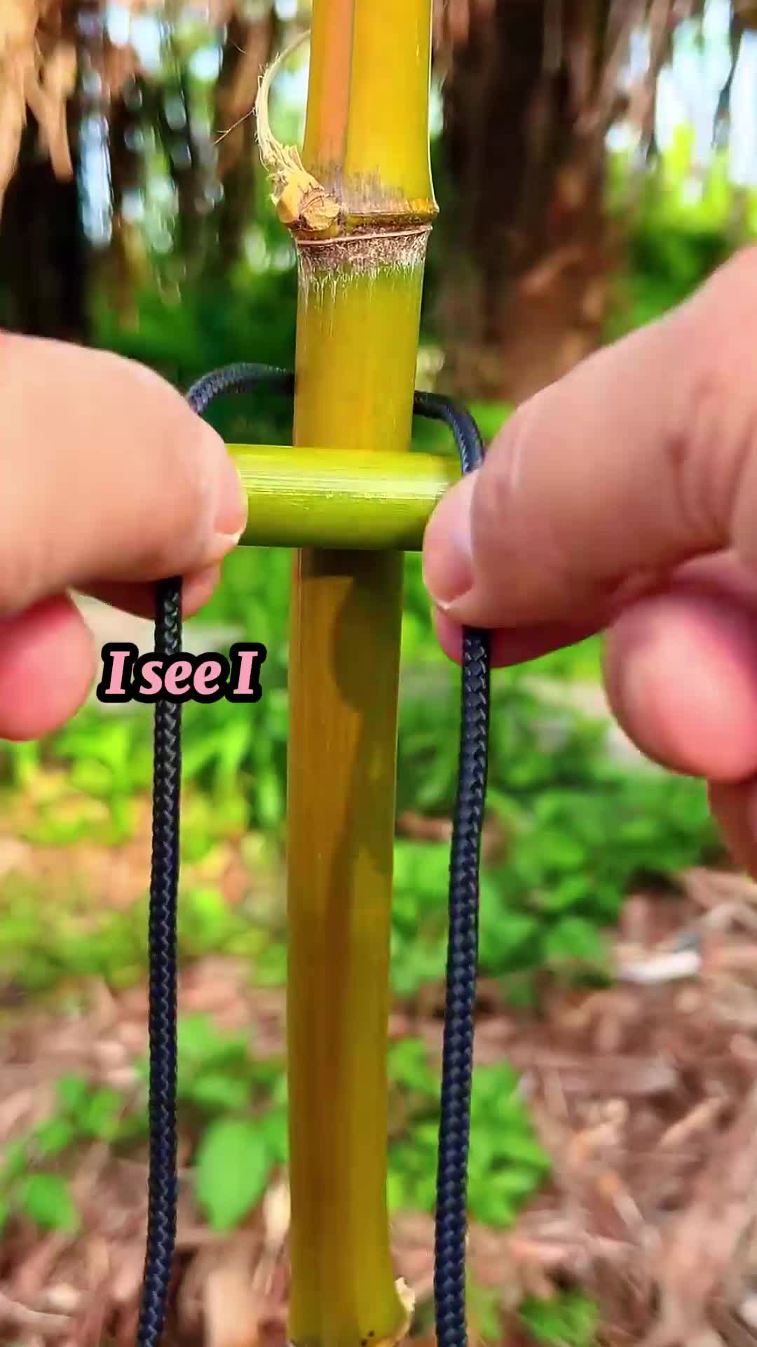 @user5461767748037