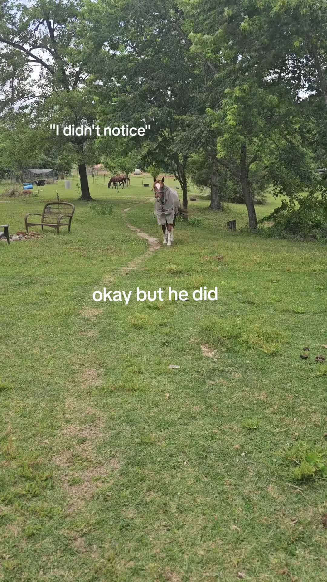 @that dumb little shit
