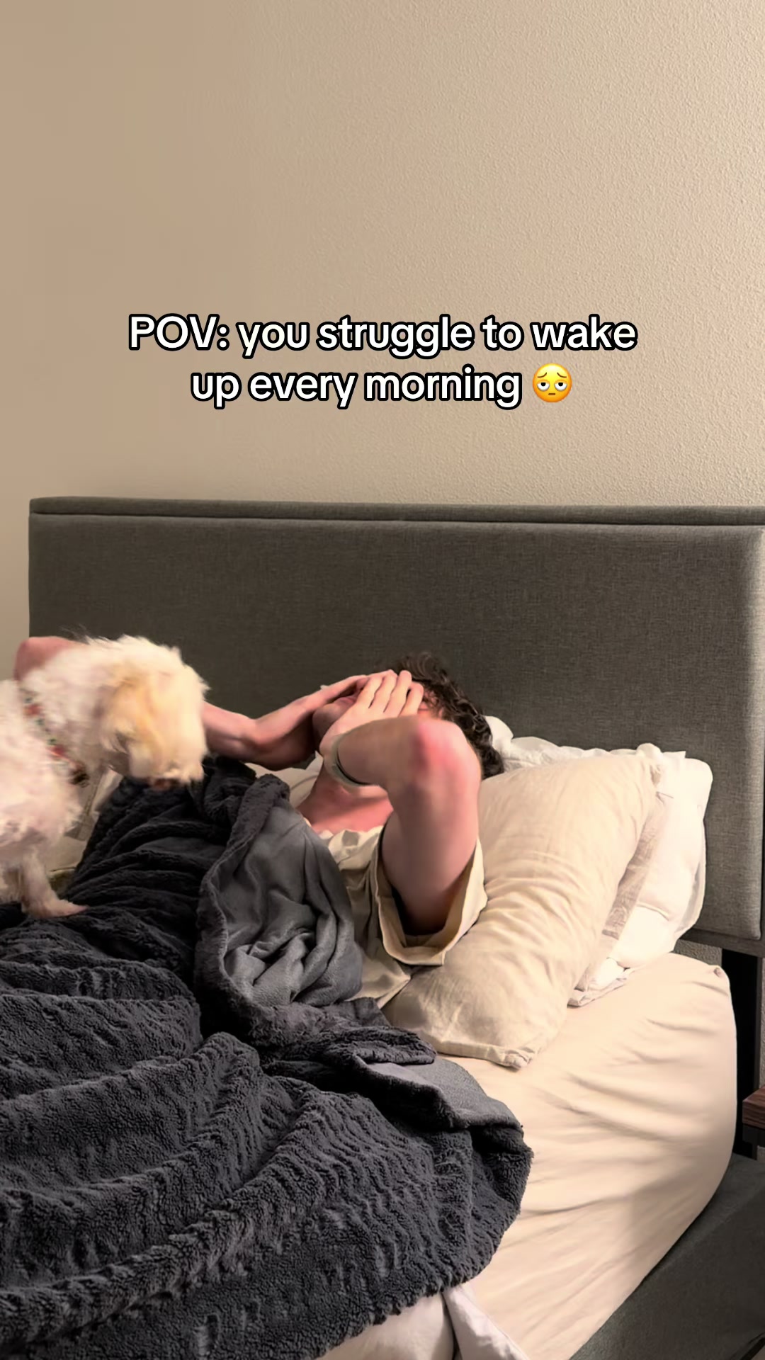 @taylor