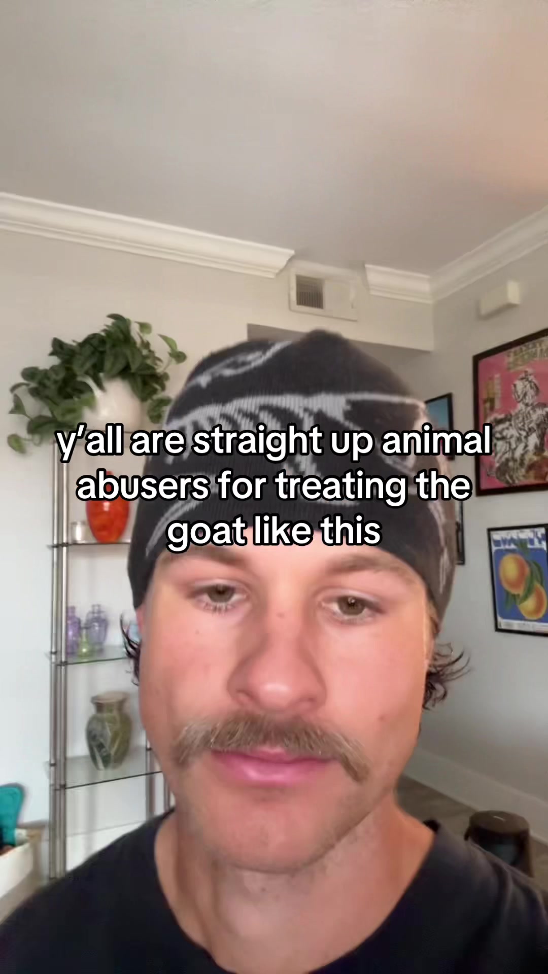 @shane