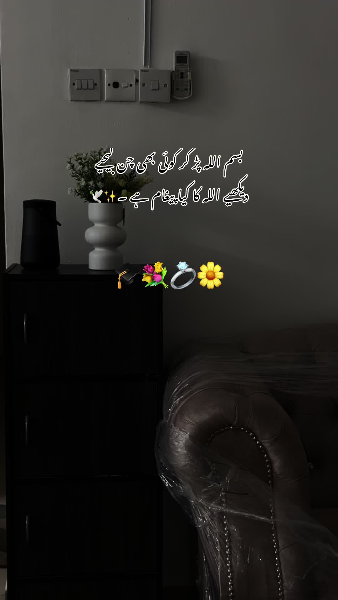 @gulll496