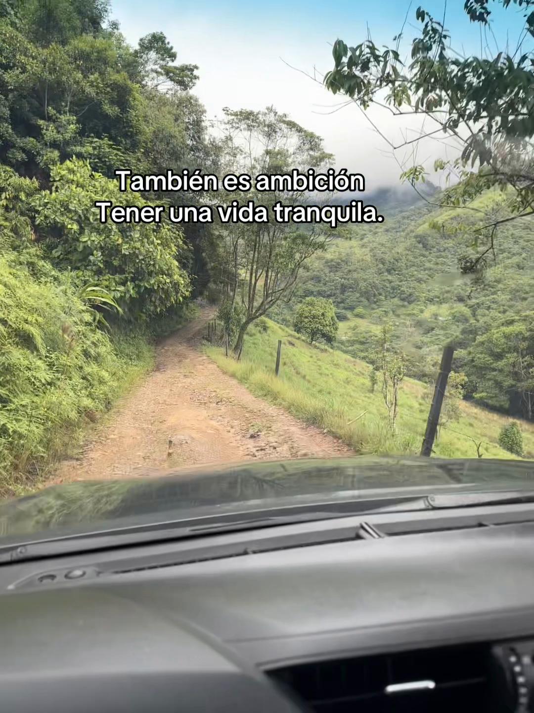 @Cam Morales