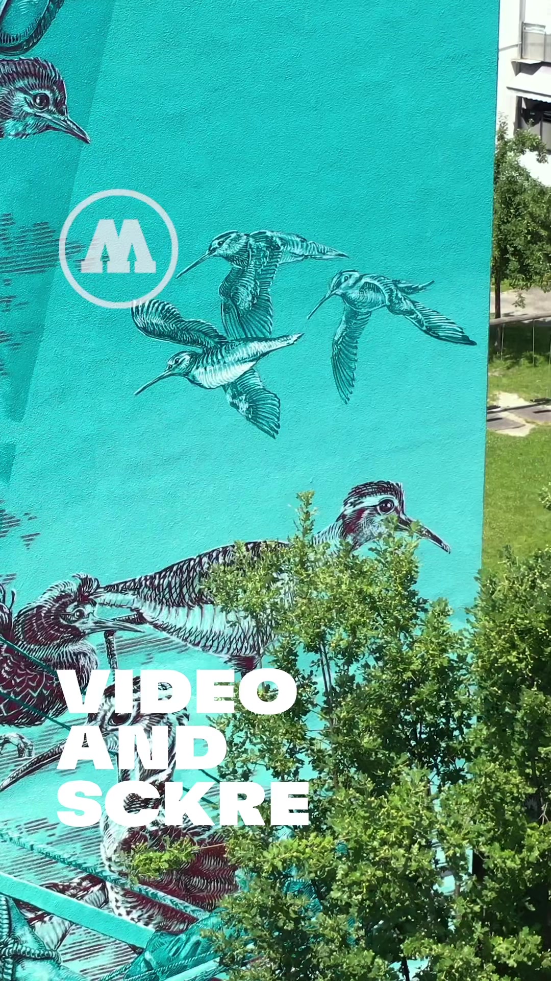 @MOLOTOW