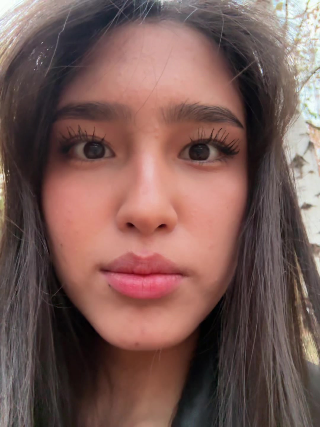 @aidoni