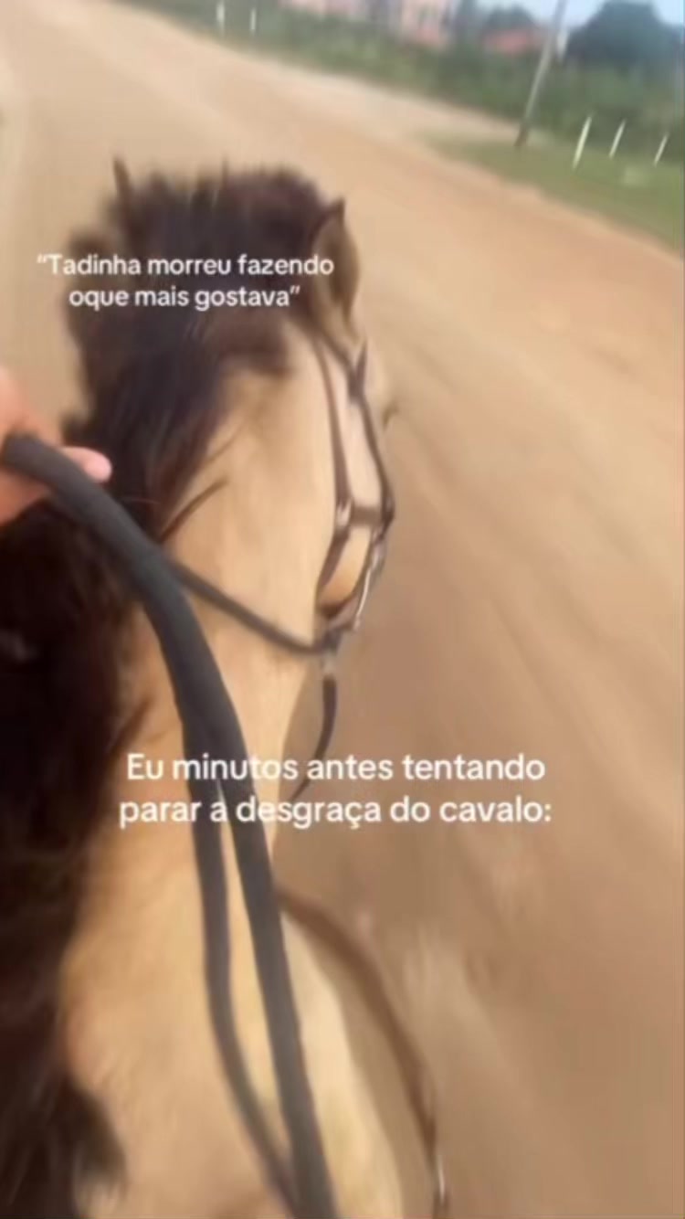 @Pᥱ́r᥆ᥣᥲ ᥱ ᥴᥲ&rho;&iota;tᥲ̃᥆