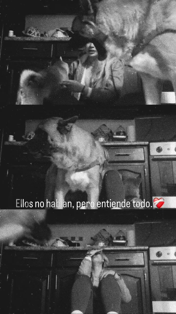 @Maria Julissa
