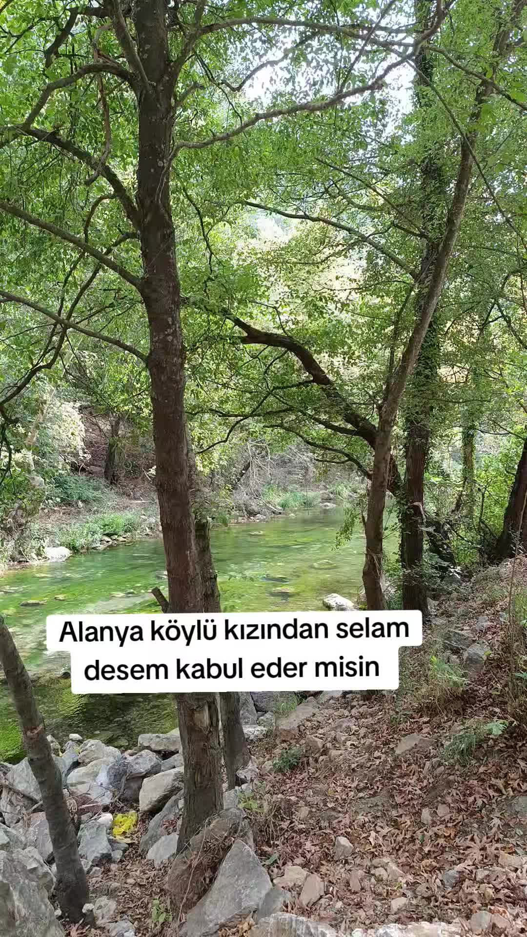 @0003