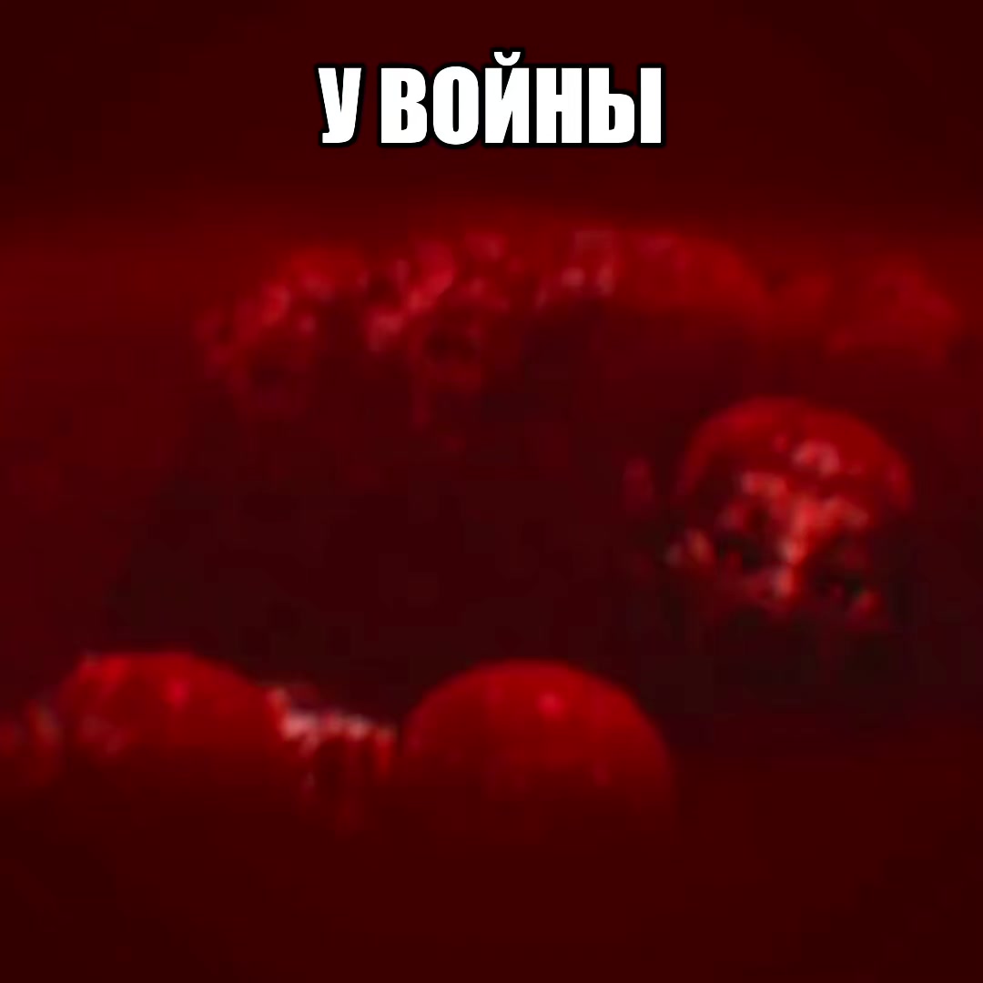 @лера язагит