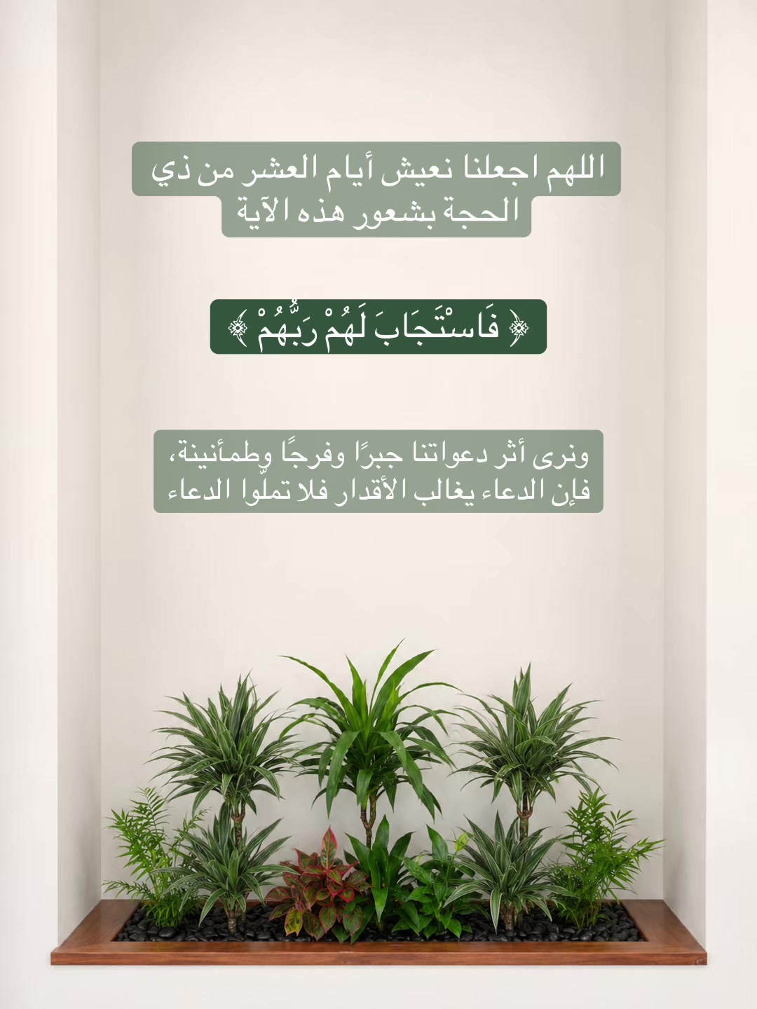 @سِــين | SEEN