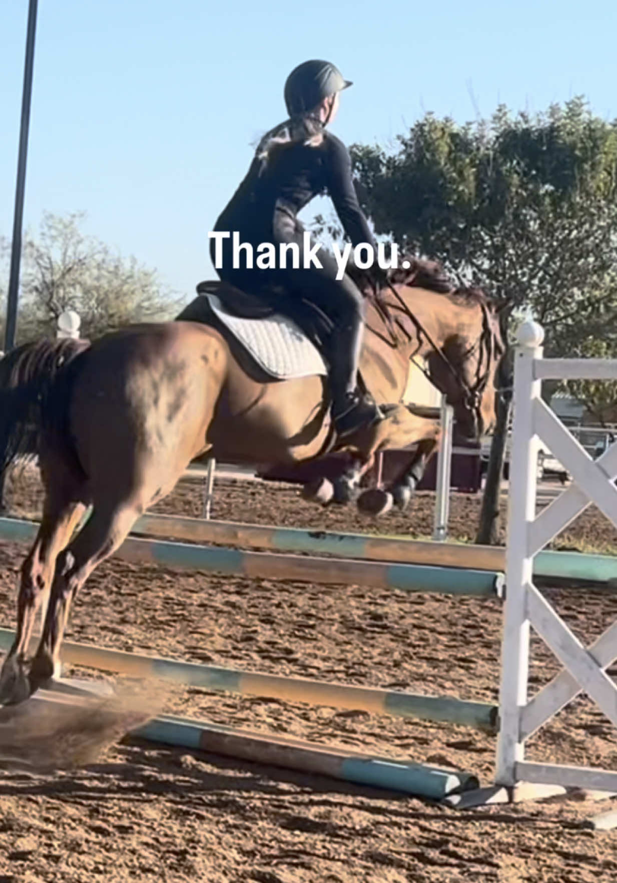 @VictoriaLynnEquestrian