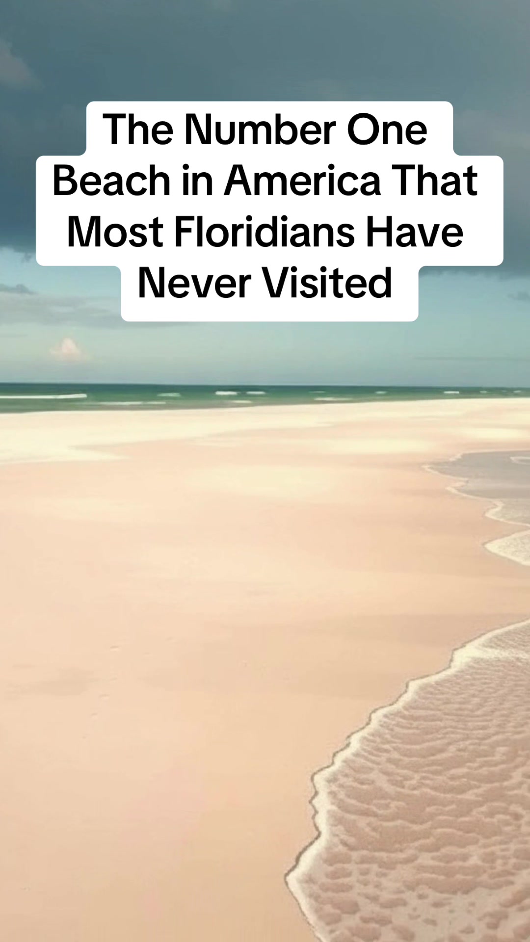 @Florida Explored