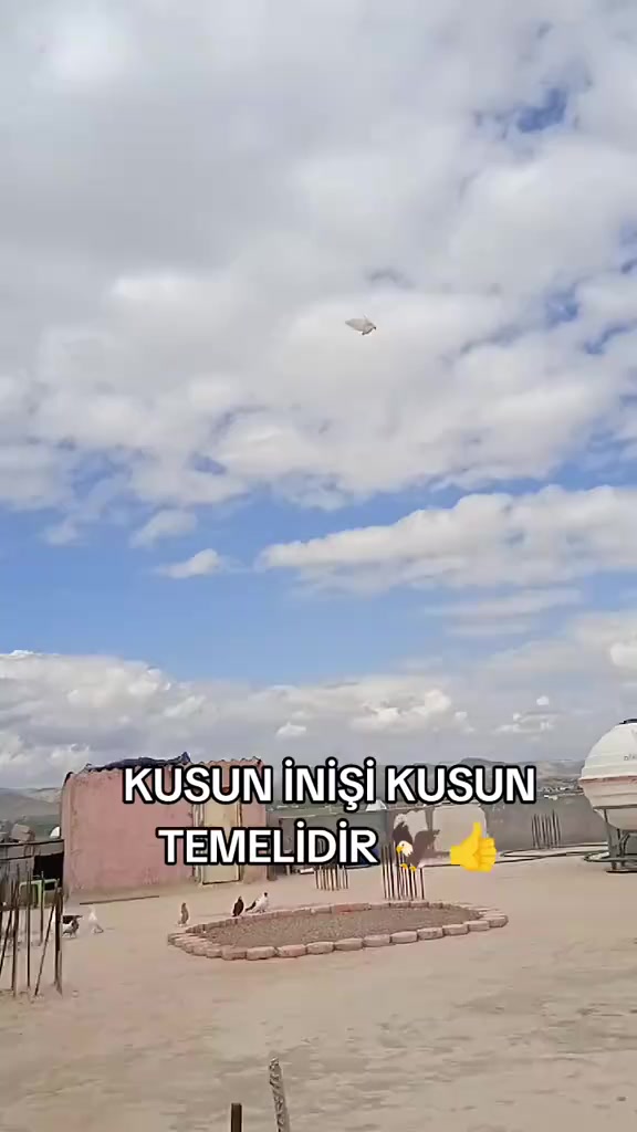 @47 argeş