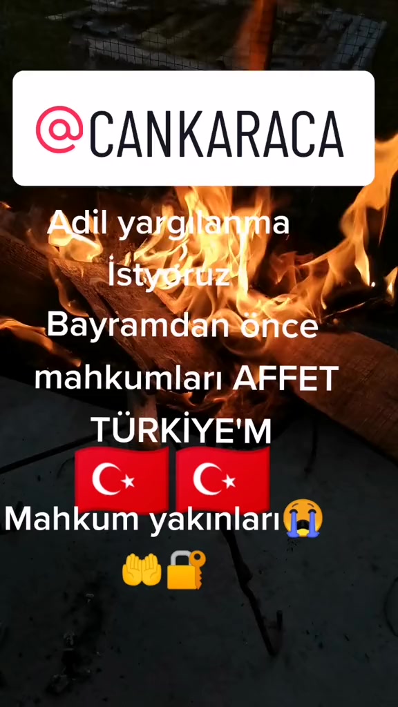@can_gul0102