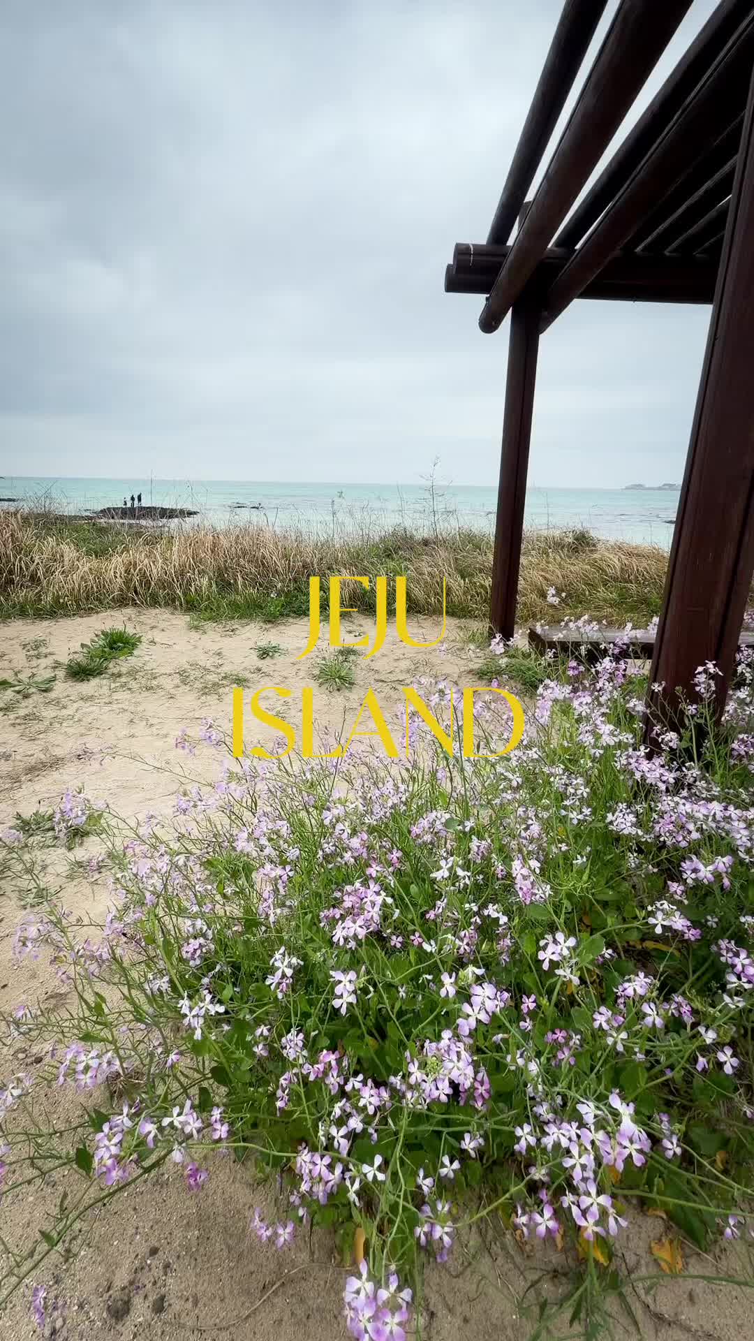 @marciauma_