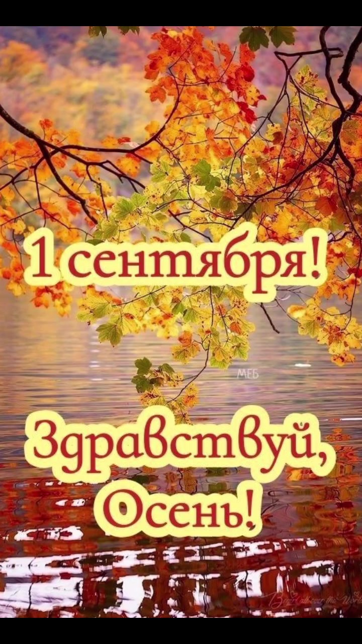@olga