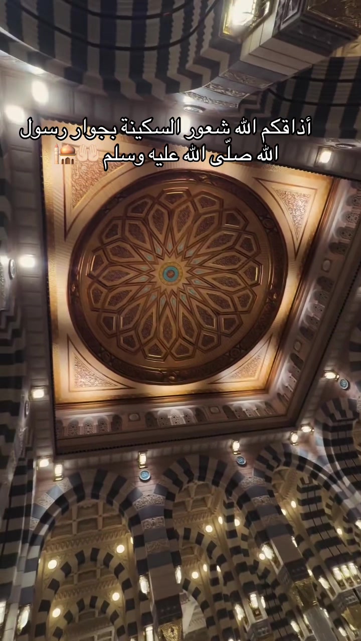 @Ghada Mansour