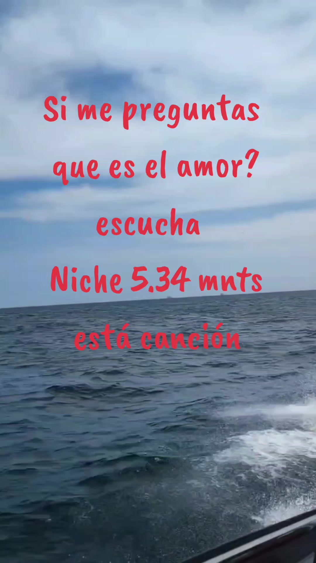 @chemoensusalsa
