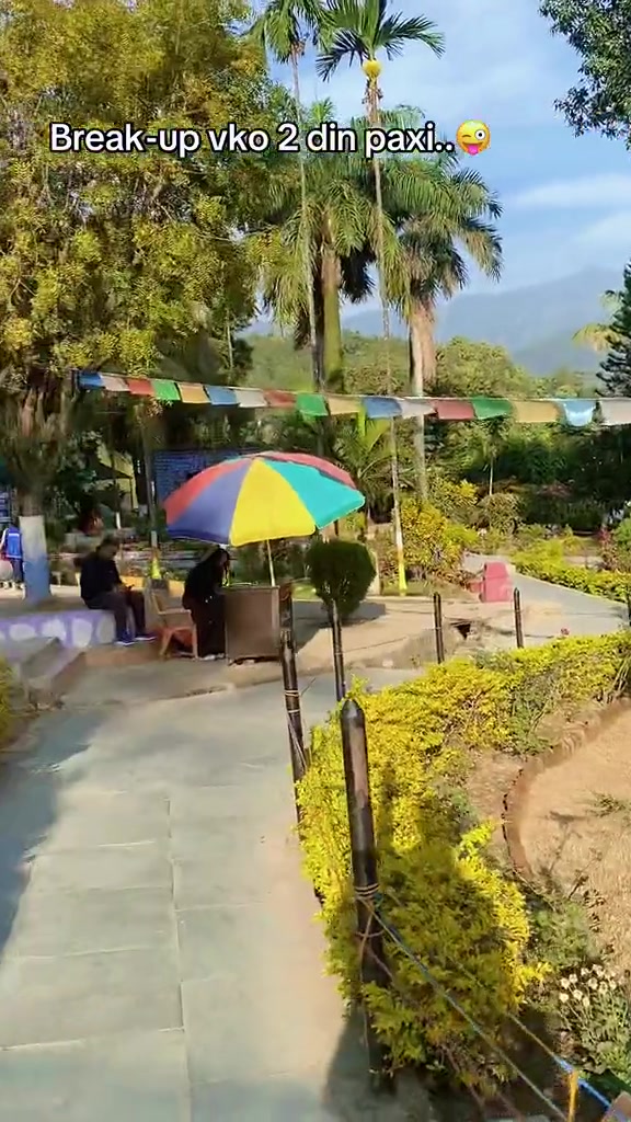 @🦋❣️아시스 올리❣️🦋