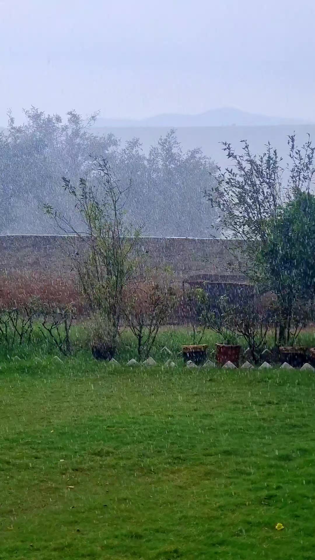 @ayankhattak804