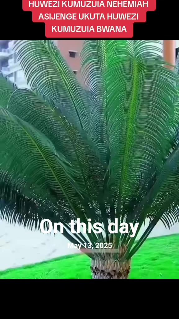 @@Dan