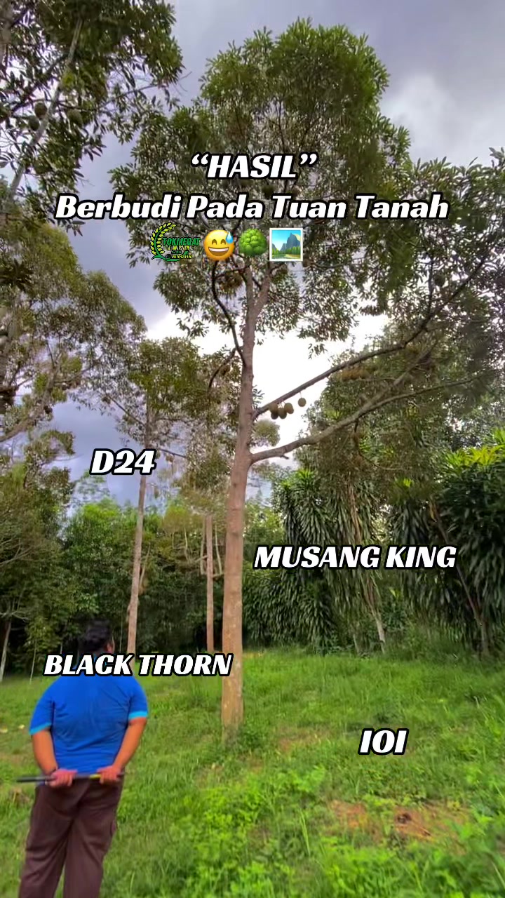 @𝖳𝗈𝗄megat Empire🦅