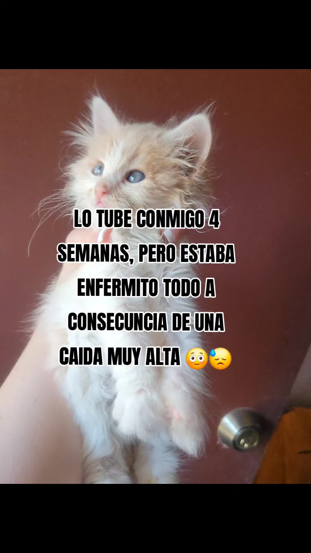 @👑Plebe.Oz💋
