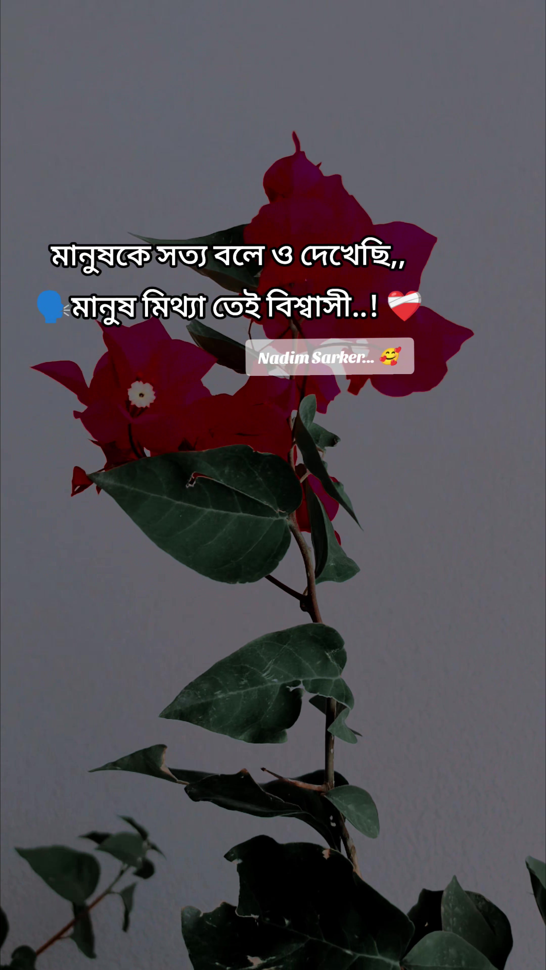 @Nªð¡m §ª®k€