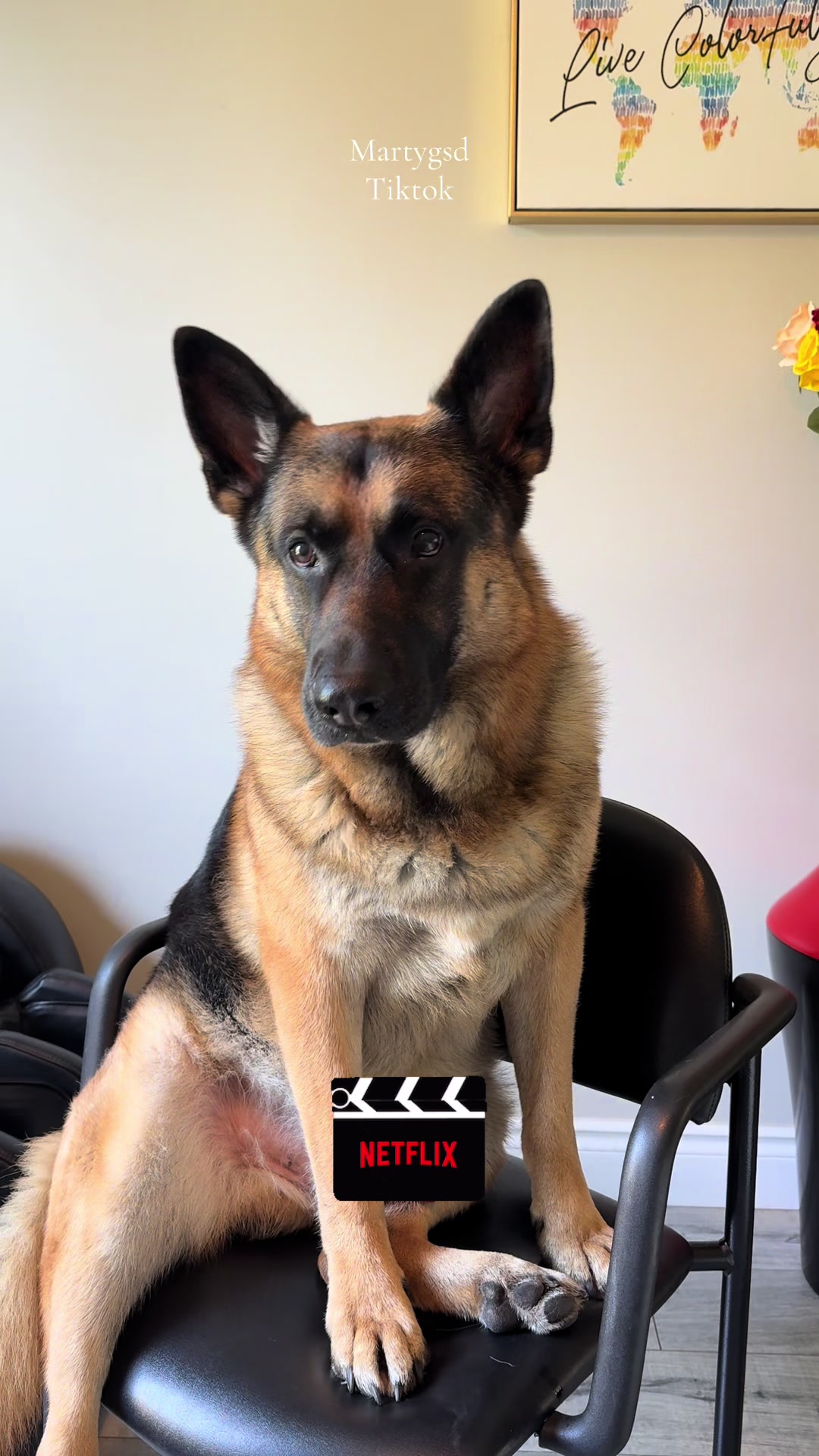 @Martygsd