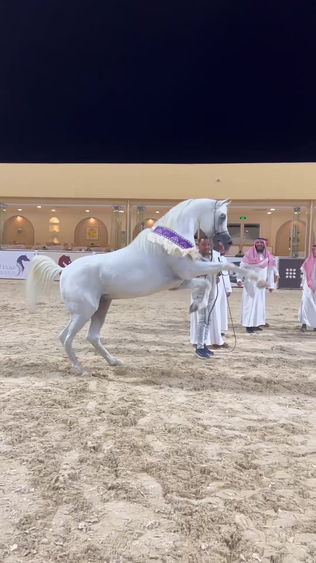 @محمد الدواس