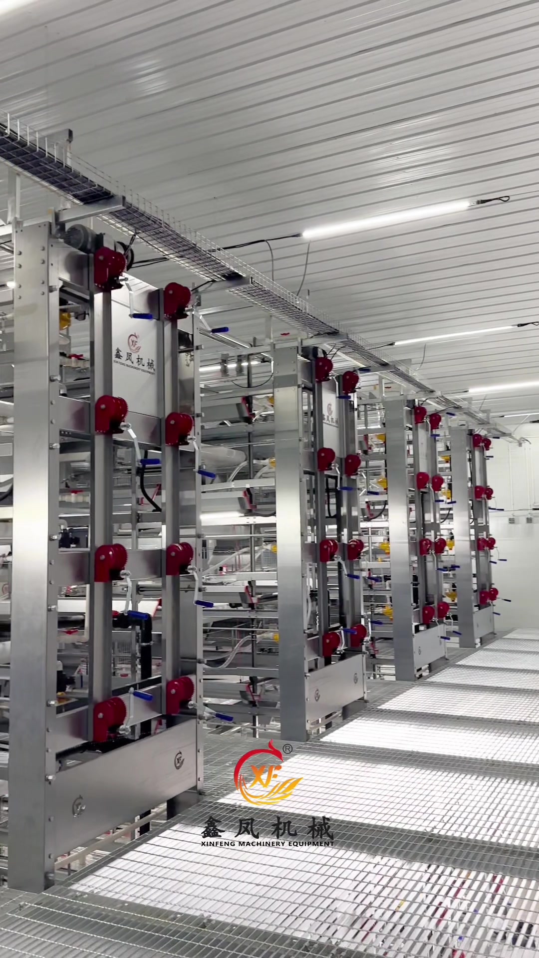 @Auto Poultry Cage Manufacturer