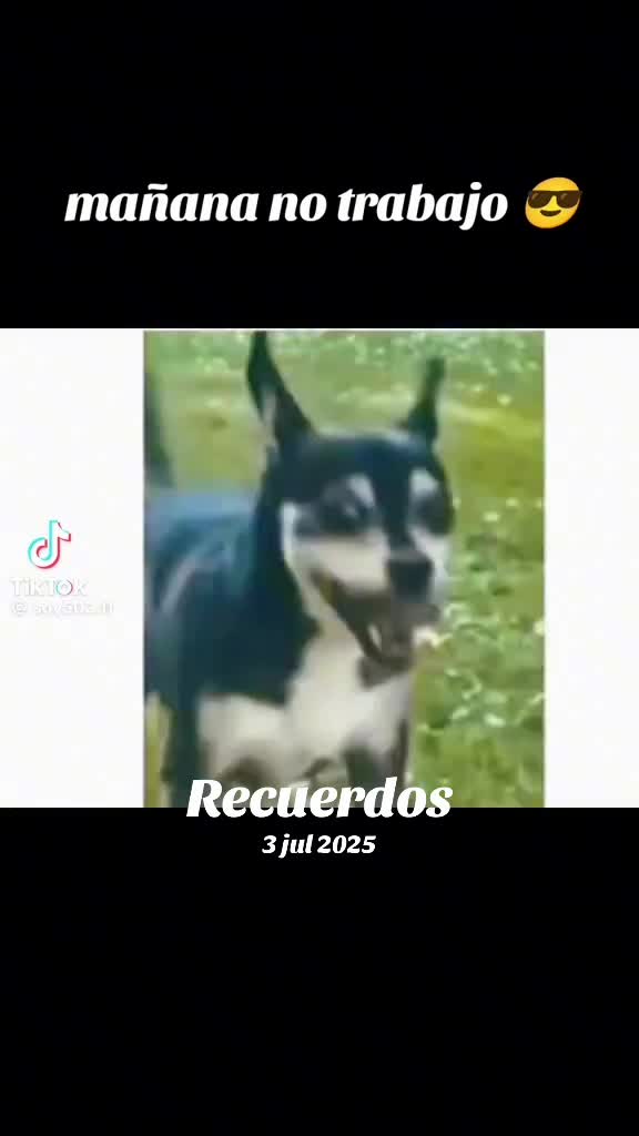 @🃏Julio Hernández🃏