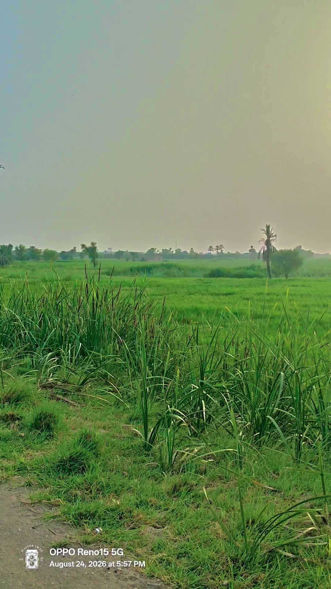 @Thari mir wah