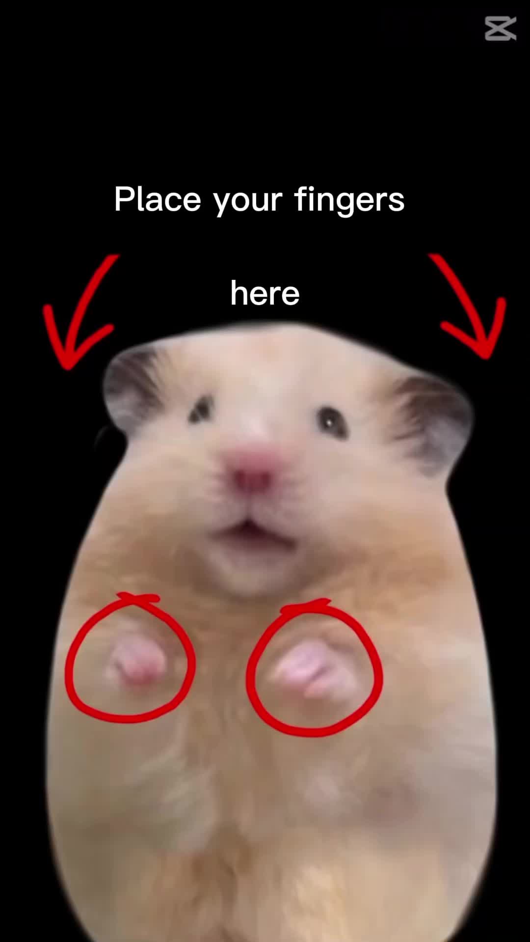 @david1221z