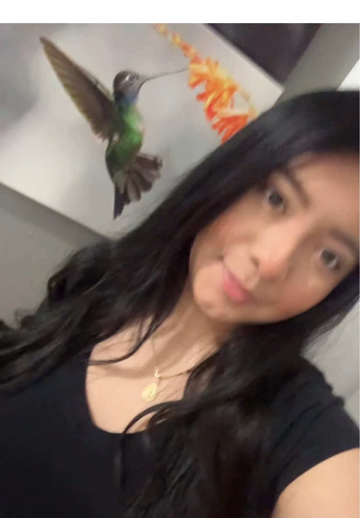 @lexa