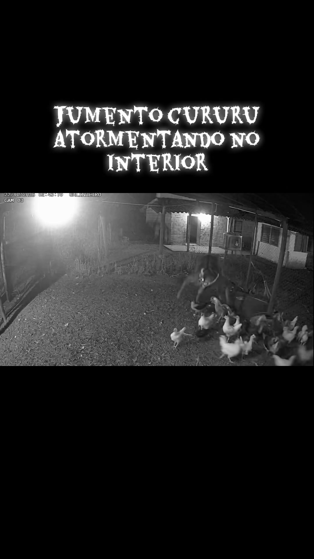 @Arquivo81