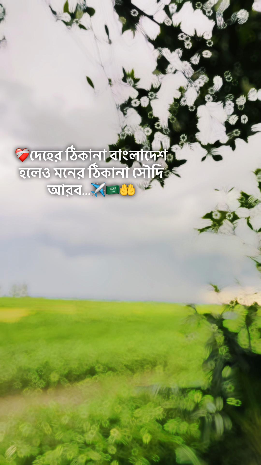 @Mir Sabbir