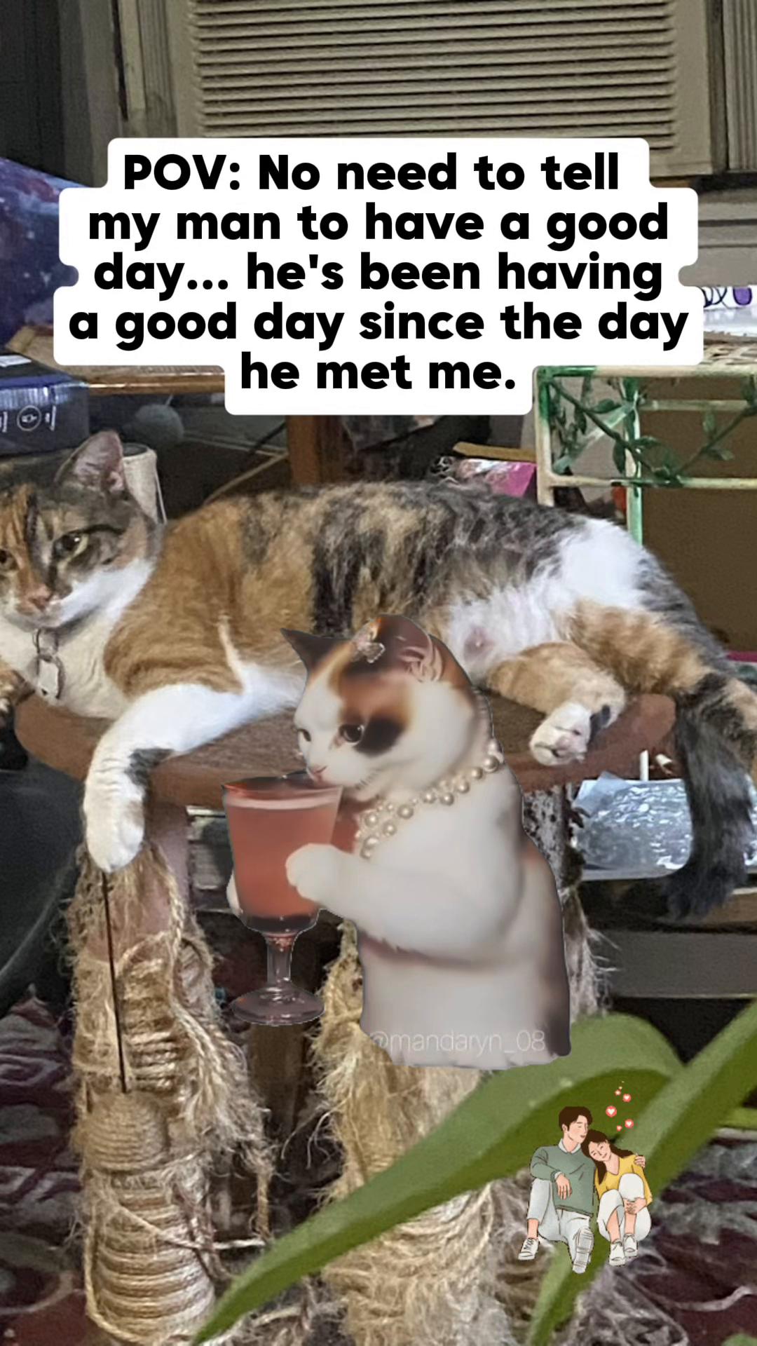 @🐈&zwj;⬛🐈Shelby🐈