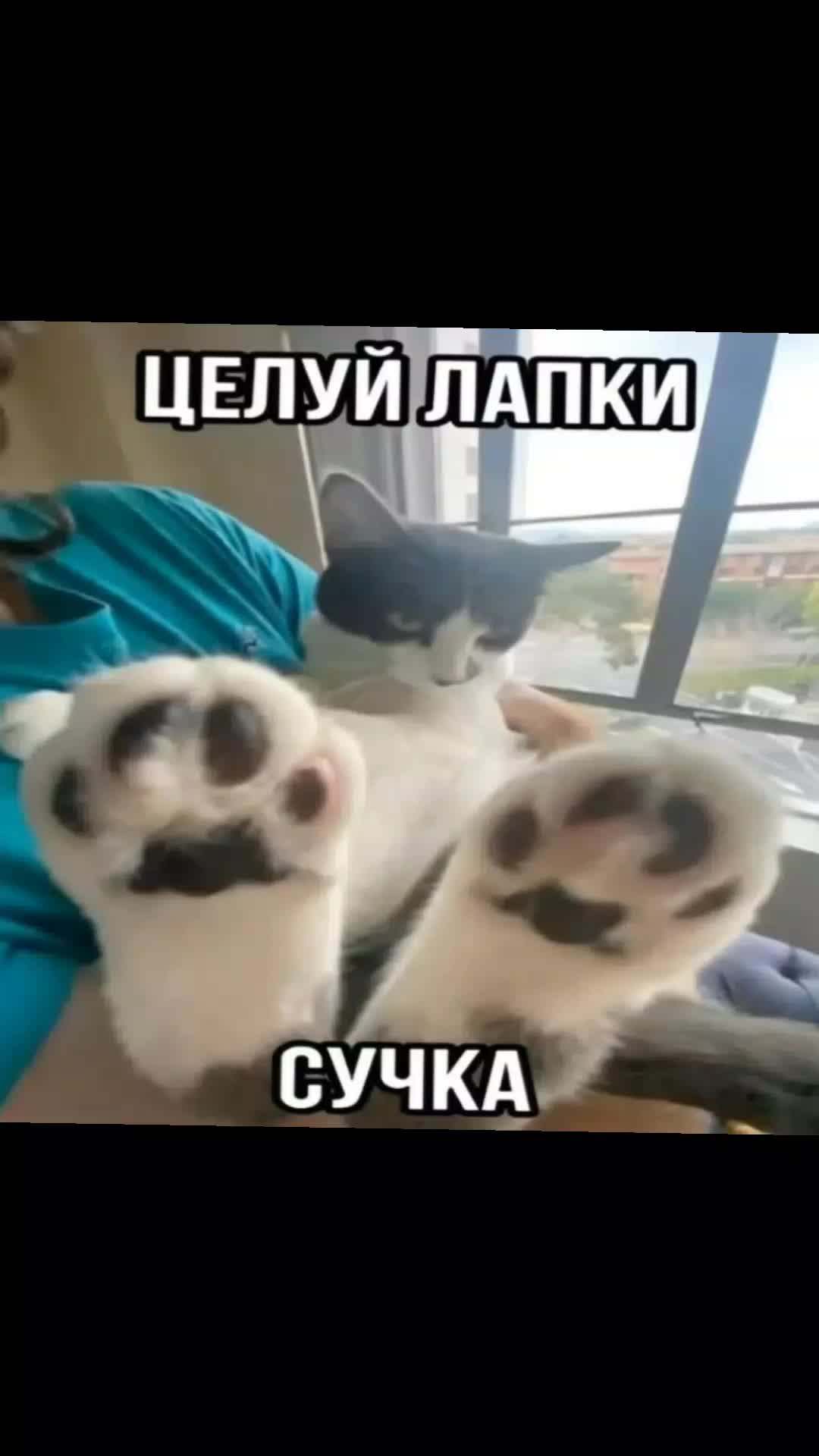 @холодильник