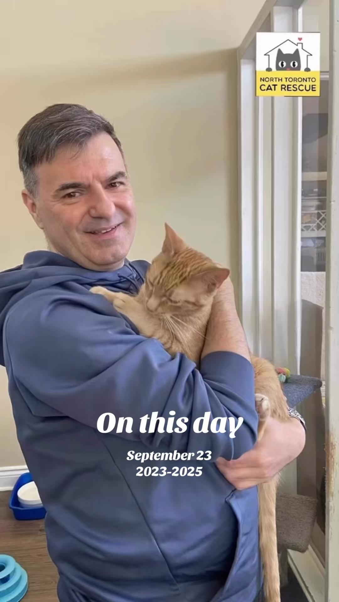 @North Toronto Cat Rescue