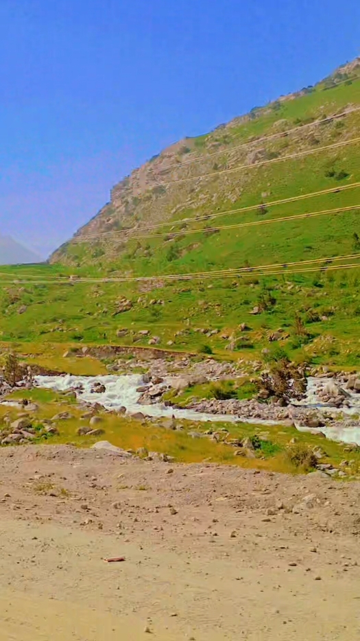 @shahinbaghalani8