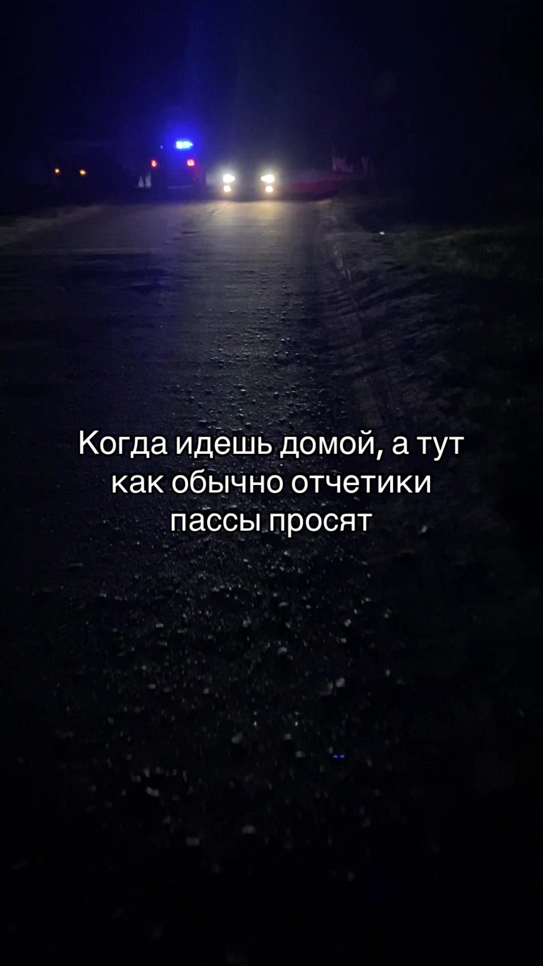 @vikusik_shep